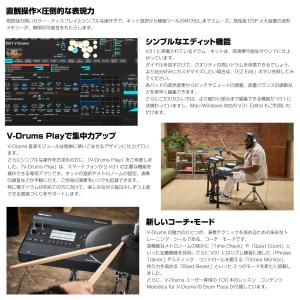 Roland(ローランド) VAD316 Pe...の詳細画像5