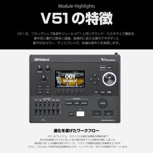 Roland(ローランド) VAD516 Pe...の詳細画像5