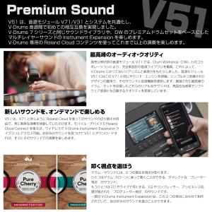 Roland(ローランド) VAD516 TA...の詳細画像3