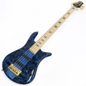 SPECTOR Euro 5 CST Japan Exclusive Black & Blue w/White Back Gloss ヨーロッパ製 スペクター 5弦ベース 限定カラー