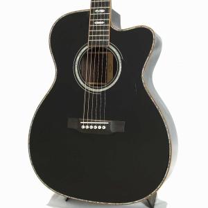 Martin Custom Shop CTM ...の詳細画像2