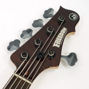 Freedom Custom Guitar R...の詳細画像2