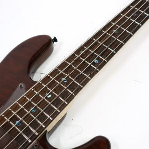 Freedom Custom Guitar R...の詳細画像4