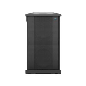 BOSE（ボーズ） F1 Model 812 Flexible Array Loudspeaker