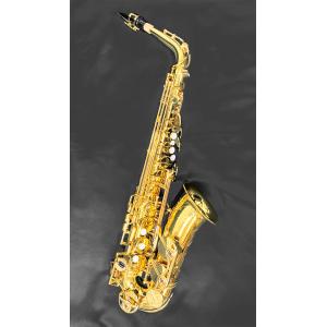 YAMAHA(ヤマハ) 5年保証対象 YAS-...の詳細画像3