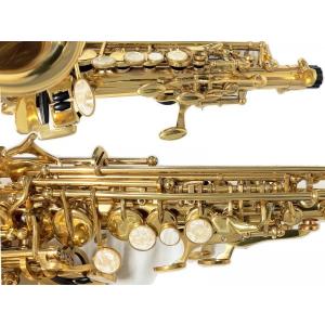 Michael Jマイケル 管楽器 吹奏楽器 アウトレット サックス 新品 カーブドソプラノサックス Spc 700 Saxophone カーブド Gold Soprano サックス 本体 J 管楽器 ソプラノサックス