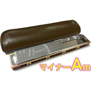 鈴木楽器製作所 複音ハーモニカ 24穴「高級ハミング」 スズキ楽器