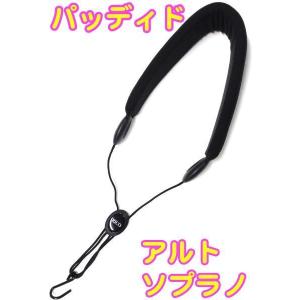 D'Addario Woodwinds 【予約】 SJA12...