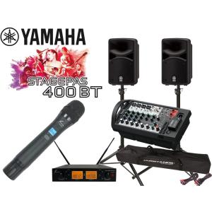 DAM ダム カラオケスピーカー DDS-65G セット DAMカラオケスピーカー DDS-65G (2本1組)【福山楽器センター】法人