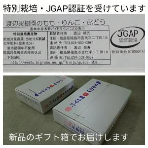 種あり巨峰ぶどうレギュラー4kg【【特別栽培・...の詳細画像3