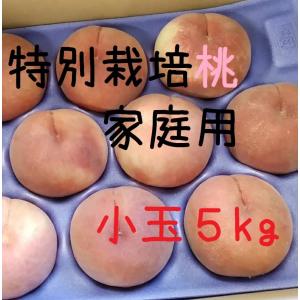 7月発送　桃レギュラー小玉5kg箱 はつひめ・暁星・あかつき