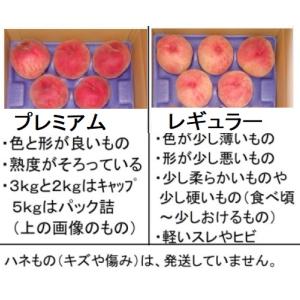 8月発送 桃レギュラー 大玉3kg箱 まどか・...の詳細画像1