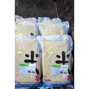 エコEM米（品種おまかせ）玄米選別30kg令和5年千葉県産
