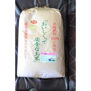 令和2年度産 新米 ハツシモ(玄米) 30kg 令和7年産 岐阜県羽島市産ハツシモ 玄米30kg(30kg×1袋) | 岐阜県羽島市