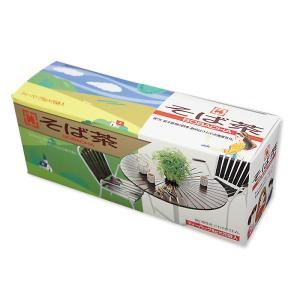 そば茶ティーバッグ8g×20袋