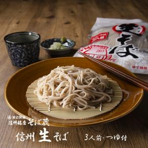 そば 蕎麦 新春 初売り 信州そば 1000円 限定生そば3人前つゆ付き 手土産 半生 送料無料