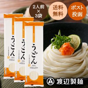 信州わたなべのうどん(250g)×3袋 おためし ポスト投函 送料無料 乾麺 保存食 ネコポス｜watanabeseimen