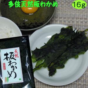 天然板わかめ1６ｇ ６年産 島根県出雲市多伎町産　板ワカメ｜watanabess