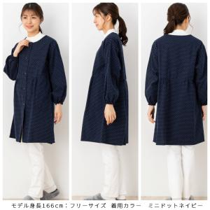 割烹着 日本製 久留米織 前ボタン ドビー織 ...の詳細画像4