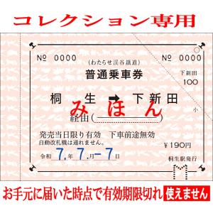 わたらせ渓谷鐵道 777常備券セットの詳細画像1