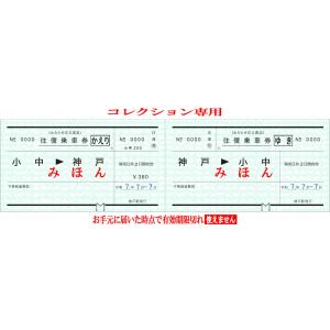わたらせ渓谷鐵道 777常備券セットの詳細画像2