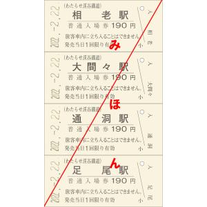 わたらせ渓谷鐵道　西暦版２並びきっぷ