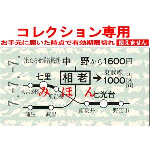 わたらせ渓谷鐵道　７並びきっぷ　中野から相老→東武線1,000円区間ゆき【地図式】