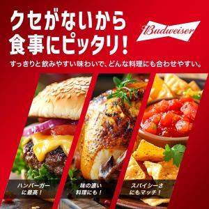 バドワイザー 瓶 330mlの詳細画像3