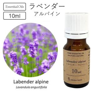 エアアロマ the vert oriental (テヴェールオリエンタル) 250ml [並行