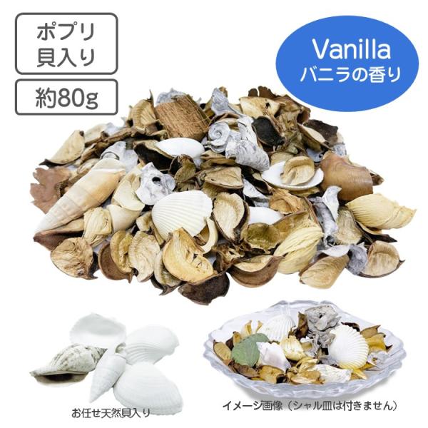 ポプリ シェル バニラ 80ｇ アロマ バニラの香り ルームフレグランス 貝 天然貝ドライフラワー ...