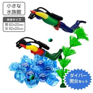 クモガイ 天然貝 サイズおまかせ 3個組 約10〜11×5.5×高さ3.5cm 貝