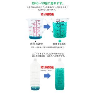 観葉植物 水耕栽培 水だけで膨れる 天使のビー...の詳細画像2