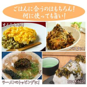からし高菜 辛子高菜 1キロ 国産高菜使用 送...の詳細画像3