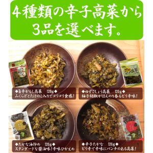 選べるからし高菜 辛子高菜 3袋セット 国産た...の詳細画像3