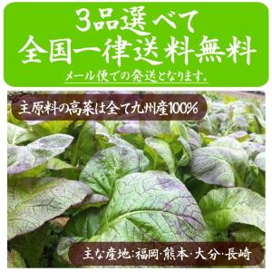 たかな油炒め 高菜油炒め 120g (全国一律...の詳細画像4