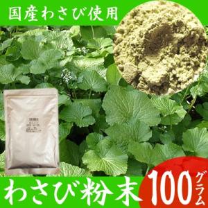 粉わさび 国産 100ｇ 業務用 粉山葵 ワサビ粉末｜watasyoku