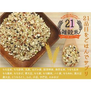21種雑穀米 200g 送料無料セール 大分県...の詳細画像1