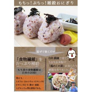 21種雑穀米 200g 送料無料セール 大分県...の詳細画像3