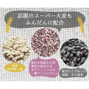 21種雑穀米 200g 送料無料セール 大分県...の詳細画像4