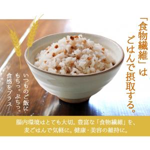 もち麦 国産 1kg 食物繊維 水溶性食物繊維...の詳細画像2