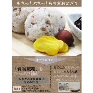 もち麦 国産 1kg 食物繊維 水溶性食物繊維...の詳細画像3