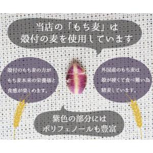 もち麦 国産 1kg 食物繊維 水溶性食物繊維...の詳細画像4