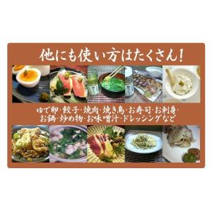 粒 ゆずこしょう 柚子胡椒 赤 100g 10...の詳細画像3