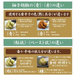 粒 ゆずこしょう 柚子胡椒 赤 100g 10...の詳細画像4