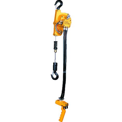 ENDO エアーホイスト EHW-120R 120kg 1.9M 0.6MPa