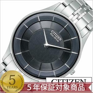 EXCEED(CITIZEN) シチズン/エクシード/エコ・ドライブ/AR4000-55E : K