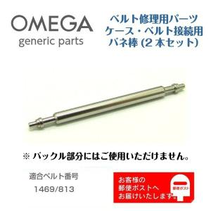 OMEGA オメガ専用 ベルト バックル用（中留 クラスプ）スライドネジ 