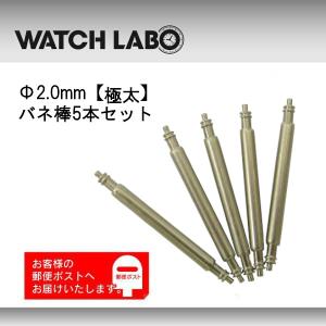 バネ棒 太さ 2.0mm 時計ベルト バンド 取付用  汎用品 5本セット 極太 16mm 17mm 18mm 19mm 20mm 21mm 22mm 23mm 24mm 25mm 26mm用