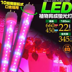 植物育成用LED蛍光灯 40W型/120cm G13 グロー式工事不要 室内栽培 水耕栽培 水槽 2年保証 10段階回転式口金｜watch-me