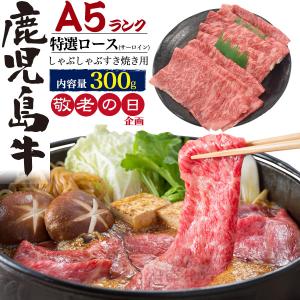 鹿児島牛 特選ロース サーロイン 300g 冷凍便 お肉 牛肉 和牛 肉 贅沢 ギフト 贈答用 霜降り 新築祝い 誕生日祝い 内祝い 熨斗 のし お歳暮｜watch-me